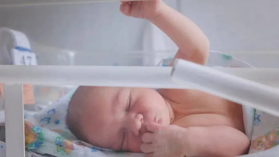 Фото: МОЦОМД