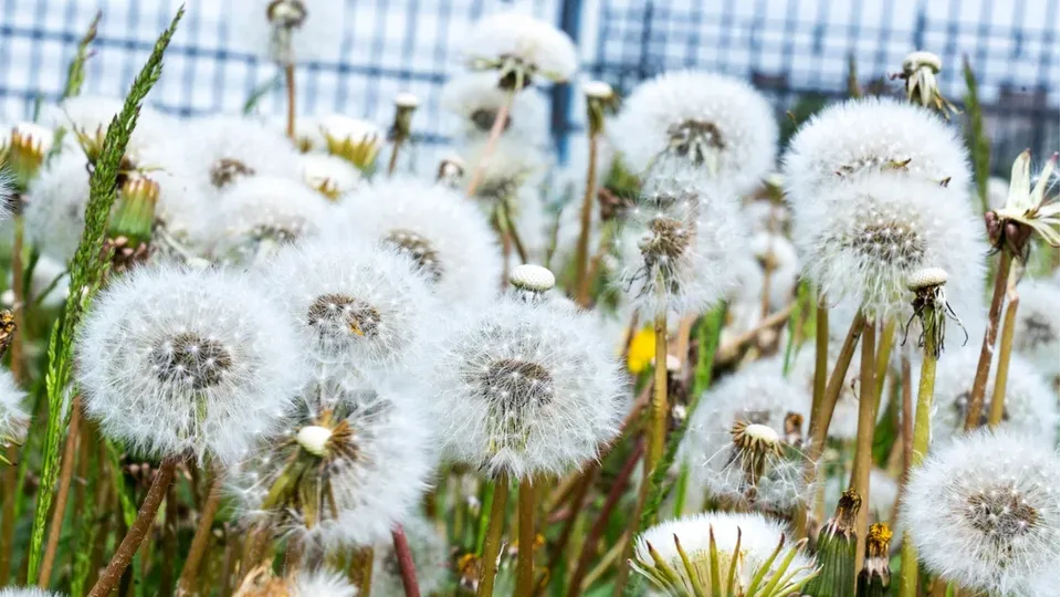 Фото: Наталия Надточая