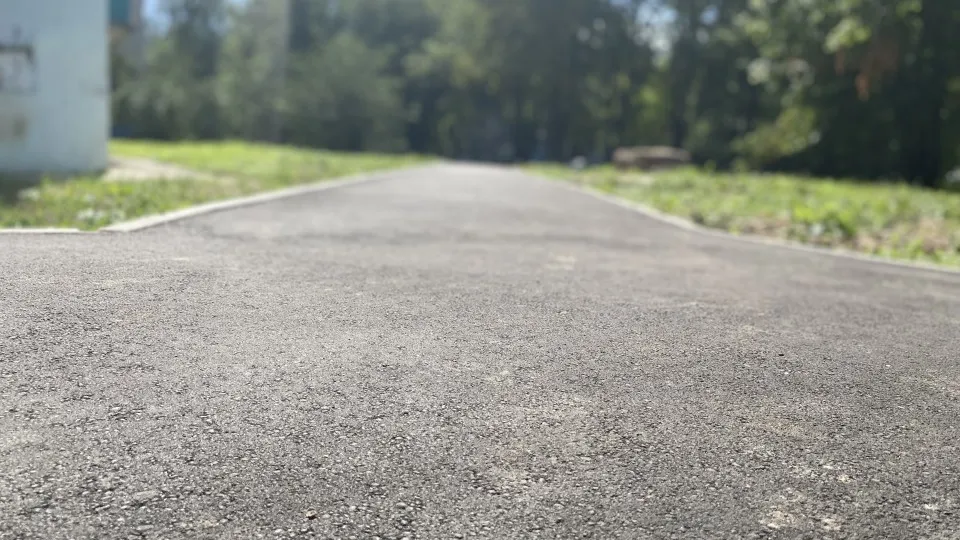 Фото: МедиаБанк Подмосковья/Юлия Лысихина