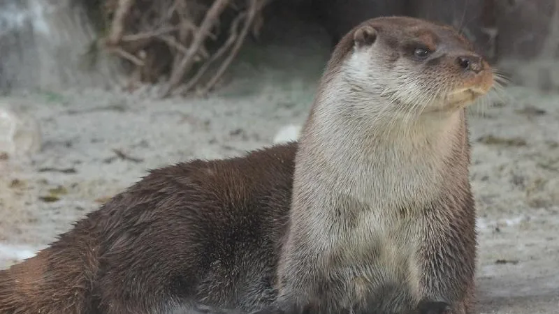 Фото: Т. Юдина