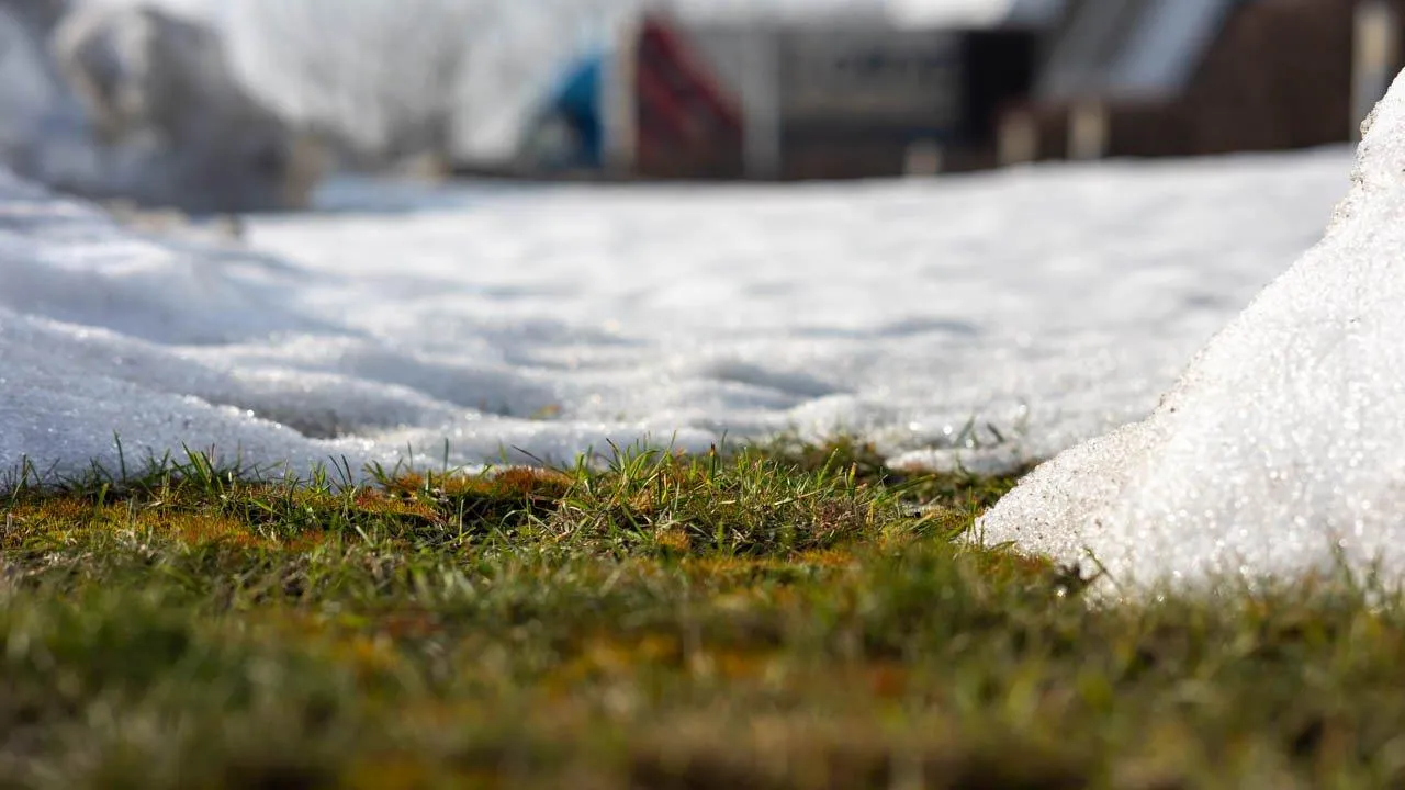 REGIONS/Владимир Ерастов