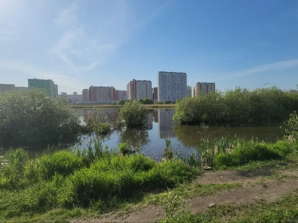 Фото: Наталья Лымарь