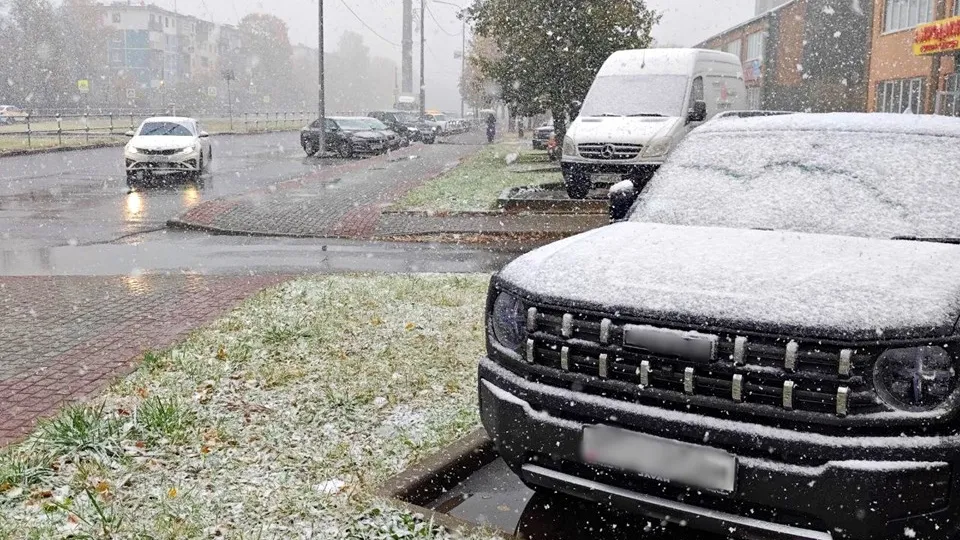 Фото: REGIONS/Алексей Селиверстов