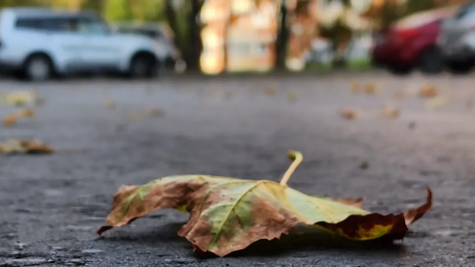 Фото: МедиаБанк Подмосковья/Валентина Максимова