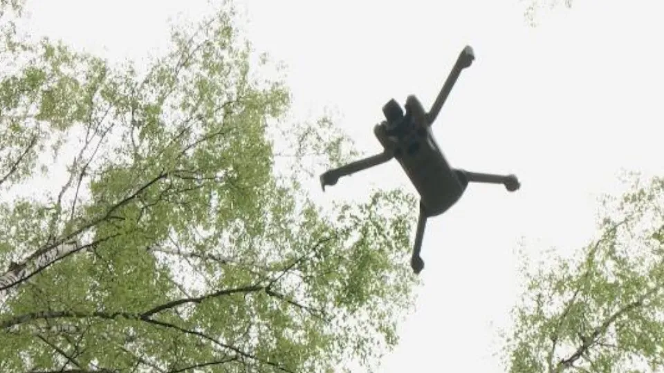 Фото: пресс-служба Администрации г.о. Серпухов