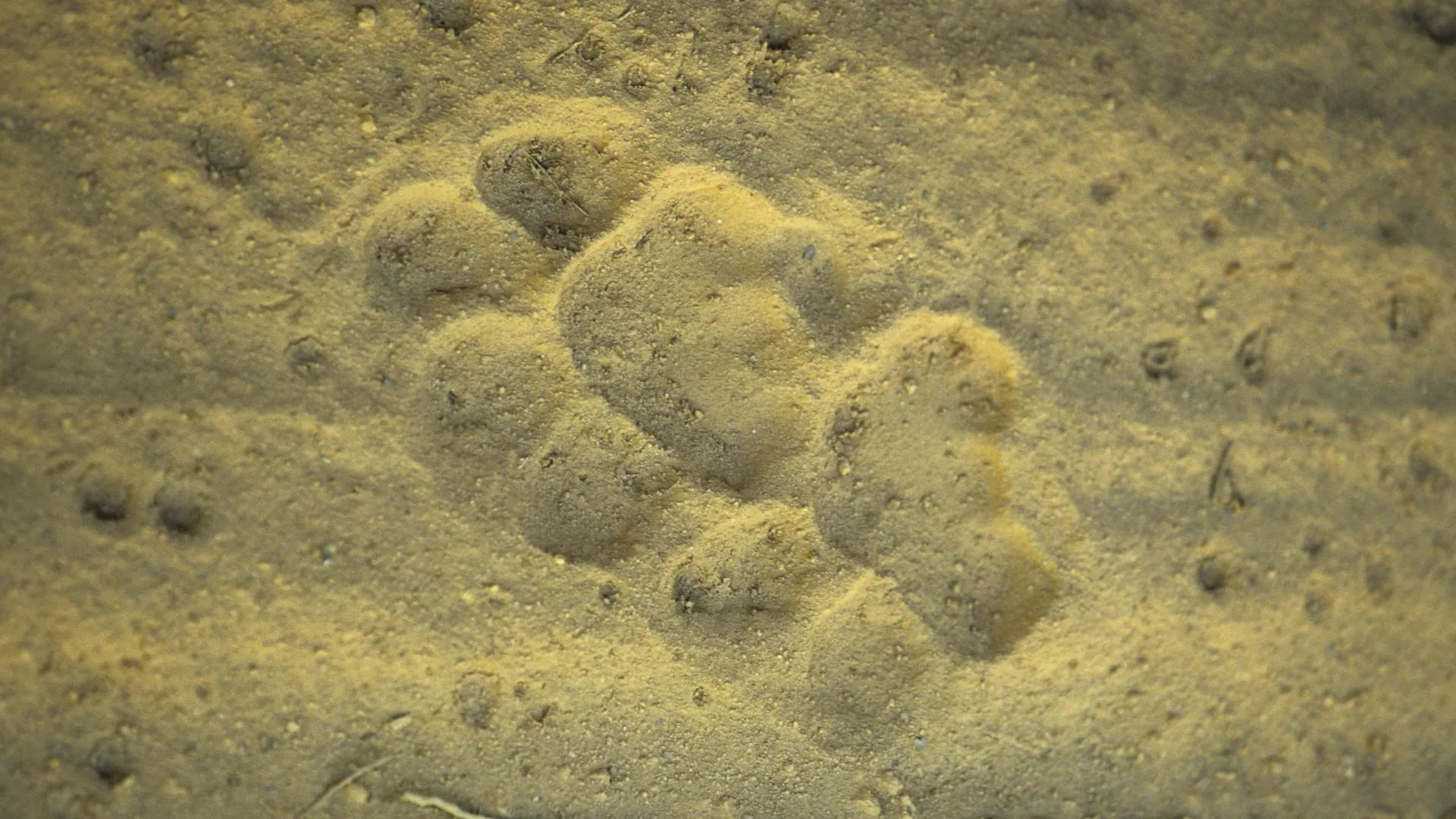 W. Layer/blickwinkel