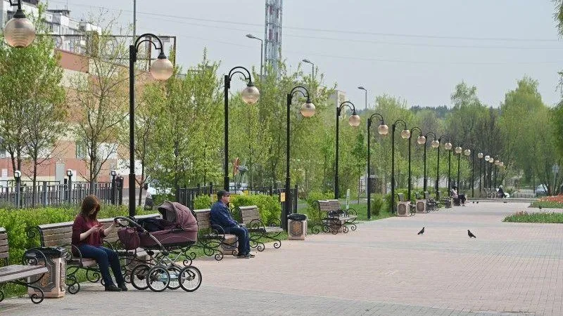 Павел Попов / Подмосковье Сегодня