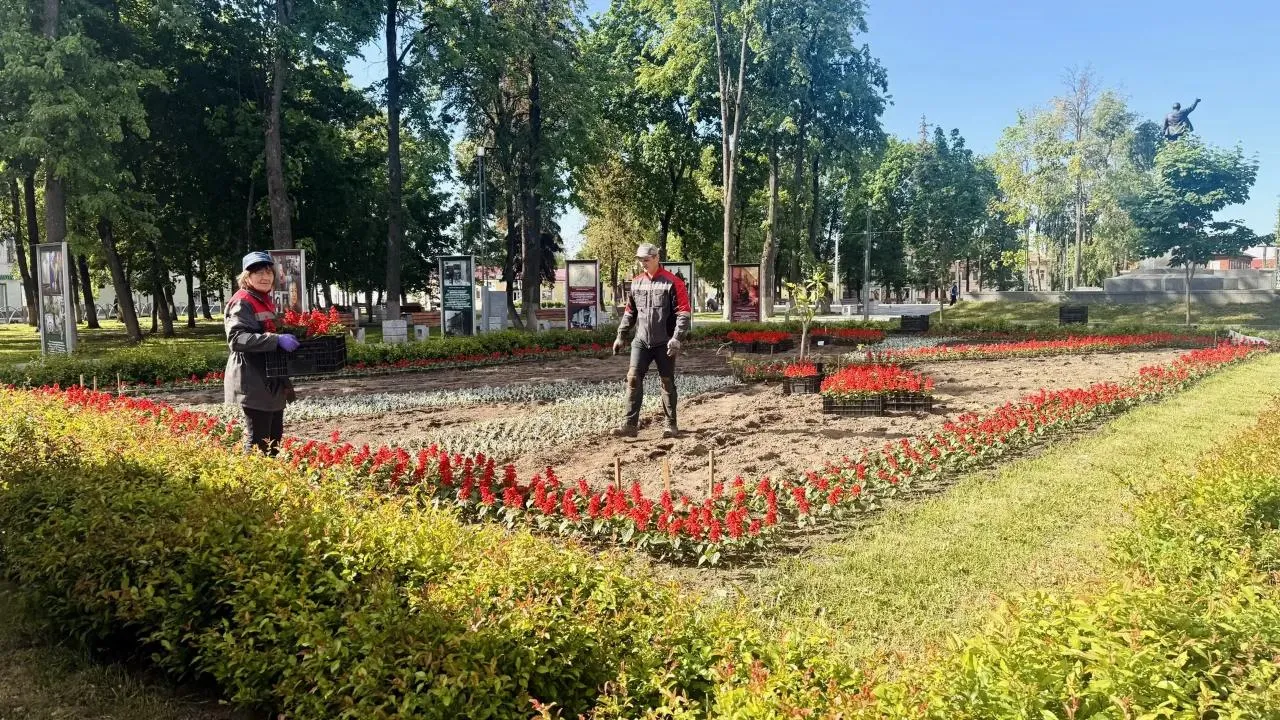 Картинка