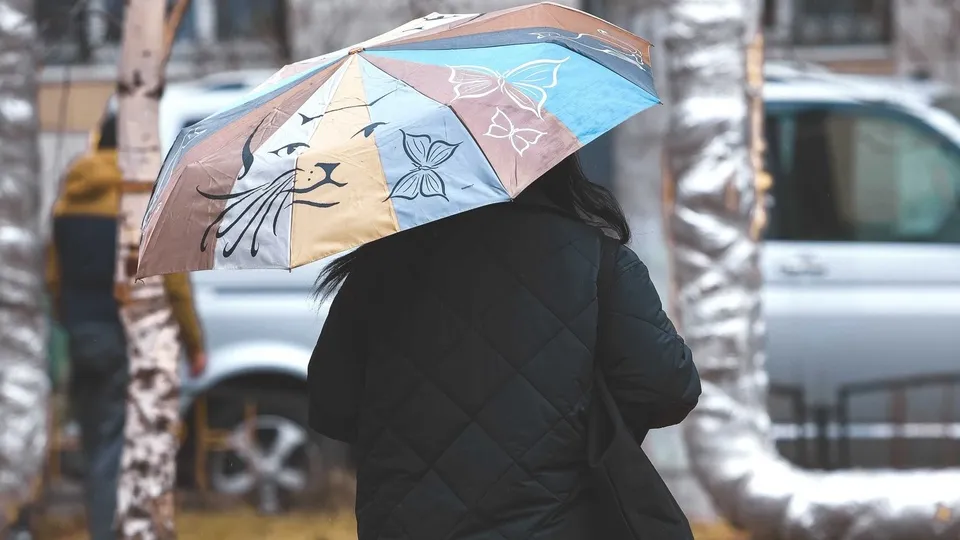 Фото: пресс-служба администрации г.о. Химки