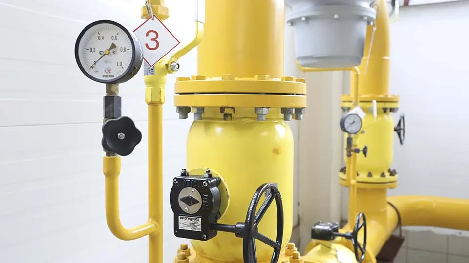 Фото: Оксана Лапшина