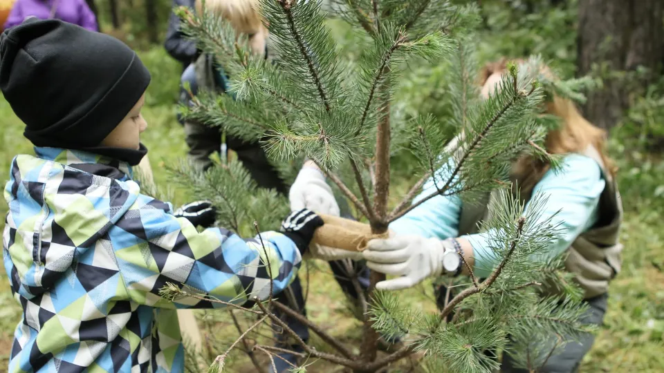 Фото: пресс-служба администрации г.о. Королев