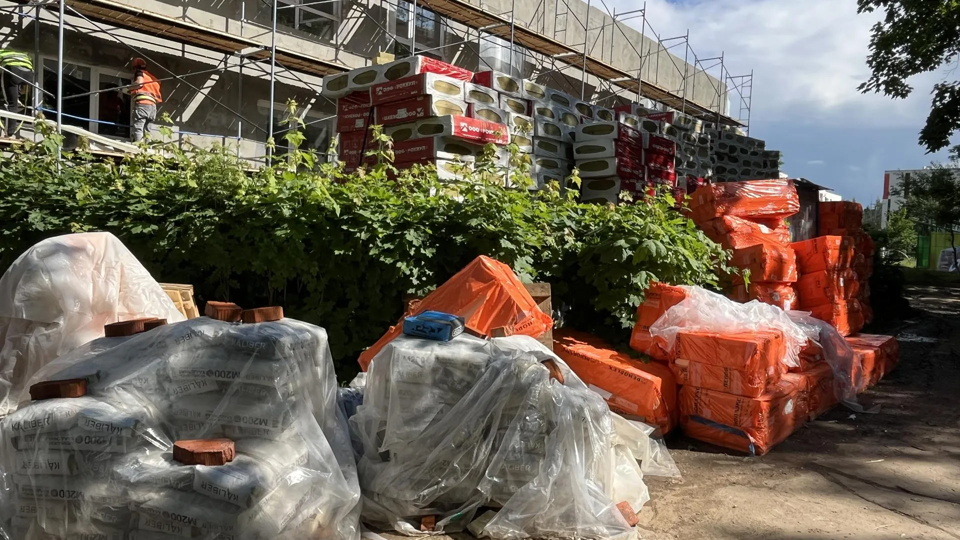 Фото: Анна Тюрюмина