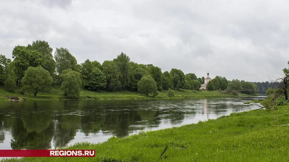 Фото: Хавива Фонина