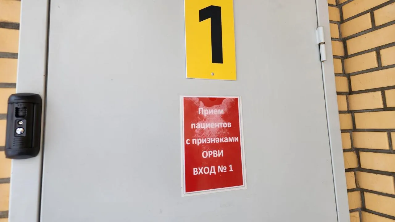 REGIONS/Мария Шигорева