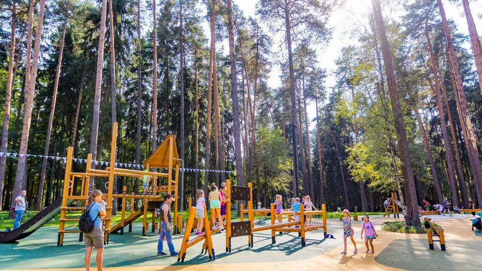 Фото: Министерство благоустройства Московской области