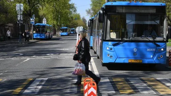 Подмосковный школьник хочет спроектировать автобусную линию до метро