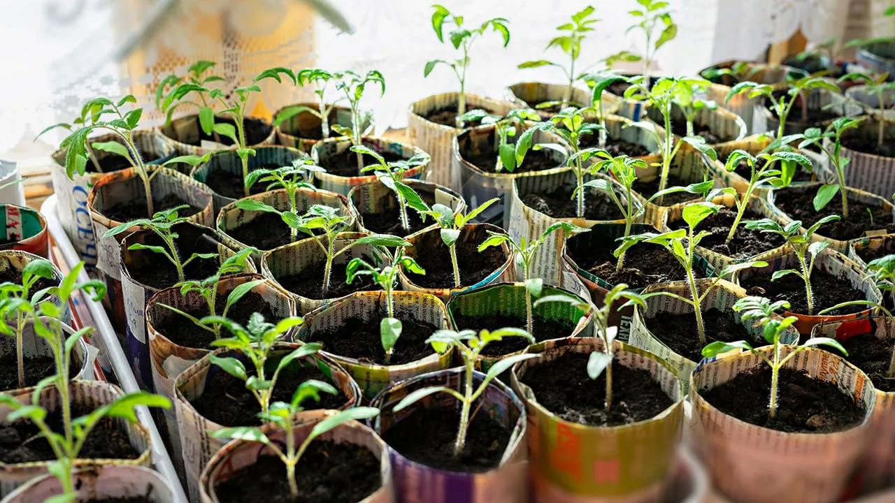 istockphoto.com/Elena