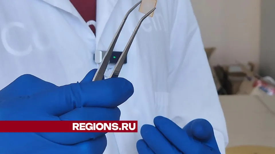 Фото: Арина Кузнецова