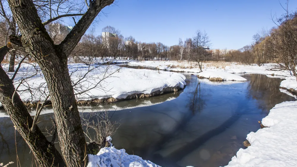 Фото: freepik.com