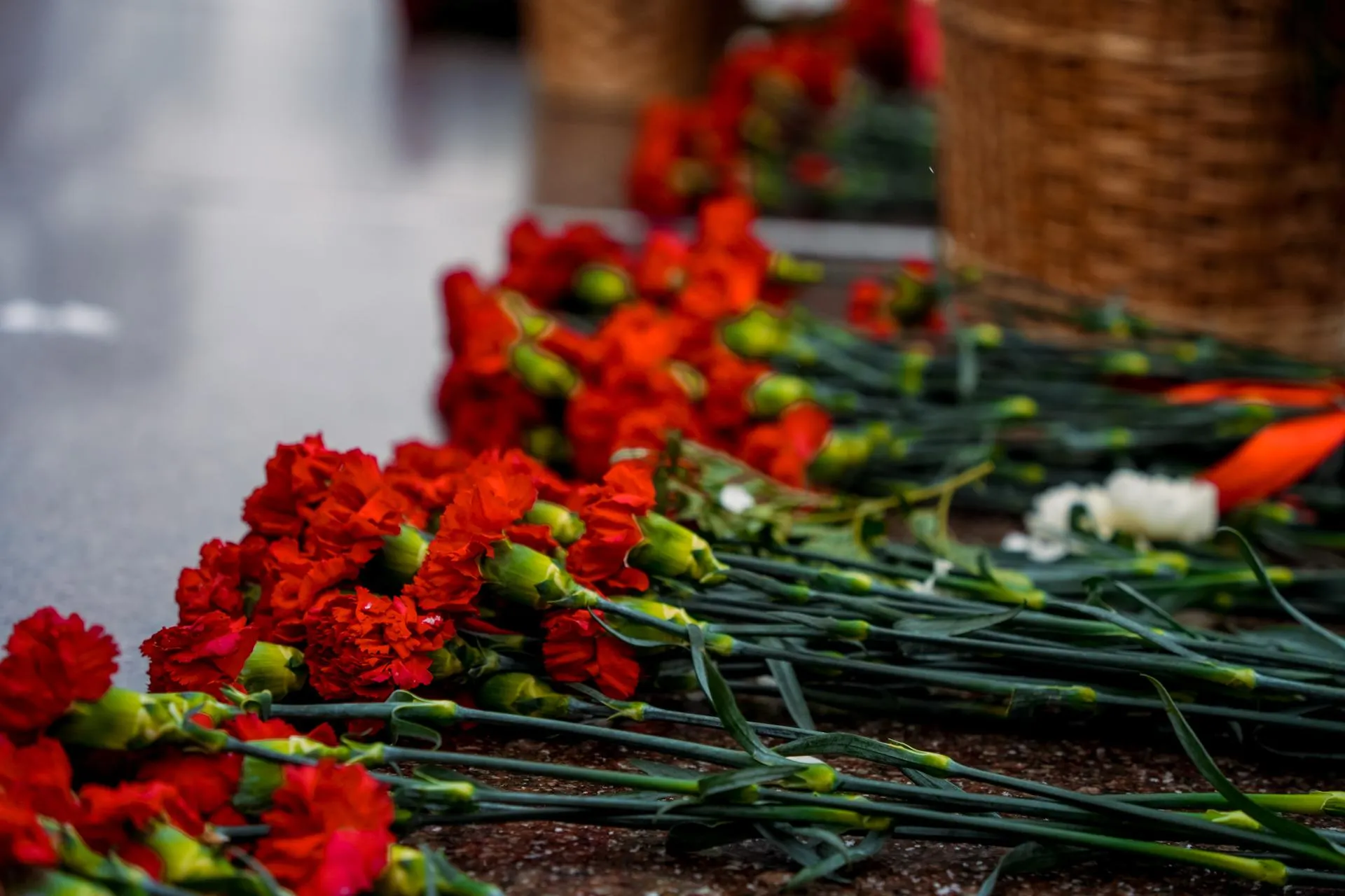 пресс-служба губернатора и правительства Московской области