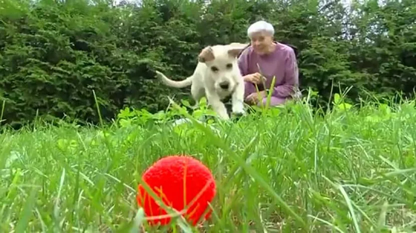 Фото: телеграм-канал Максима Красноцветова