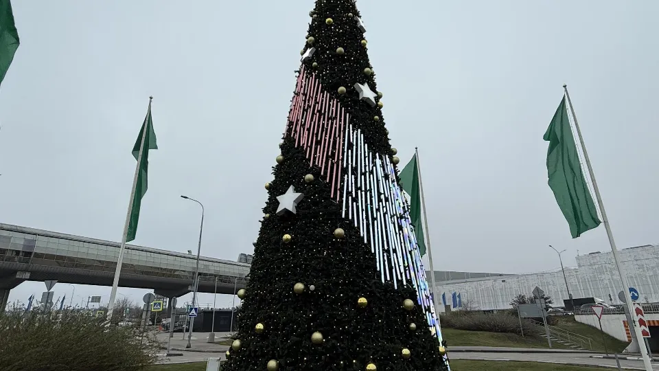 Фото: МедиаБанк Подмосковья/Анна Дука