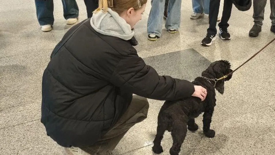 Фото: Министерство образования Московской области