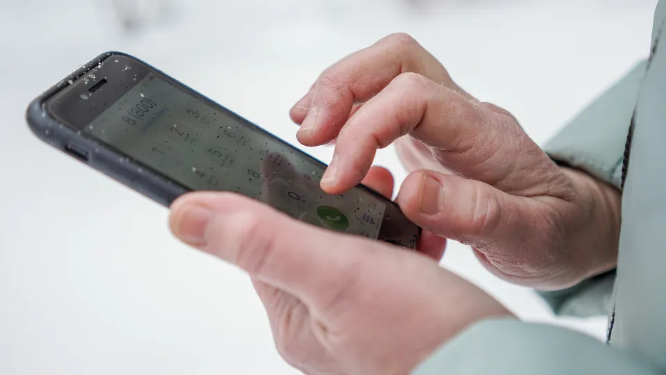 Фото: медиасток.рф