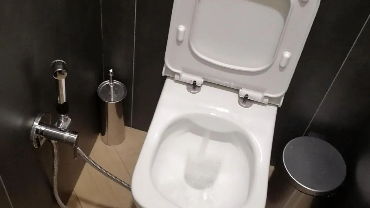 REGIONS/ Татьяна Замятина