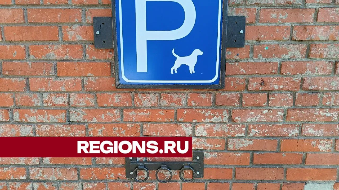 Фото: Дмитрий Роман