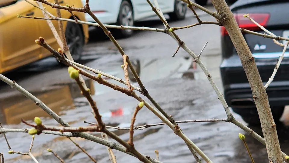 Фото: МедиаБанк Подмосковья/Наталья Лымарь