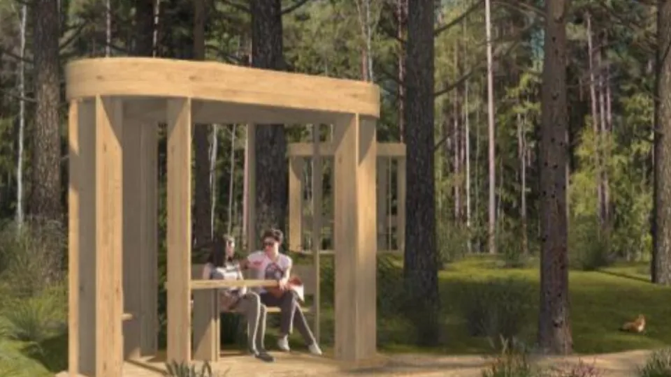 Фото: Министерство благоустройства Московской области