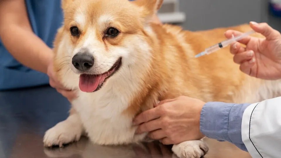 Фото: freepik.com