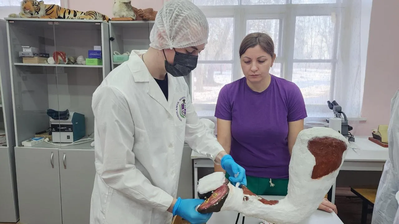 МедиаБанк Подмосковья/Дмитрий Беденко