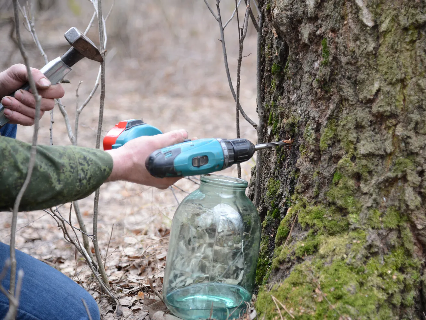 Фото: Нина Соколова