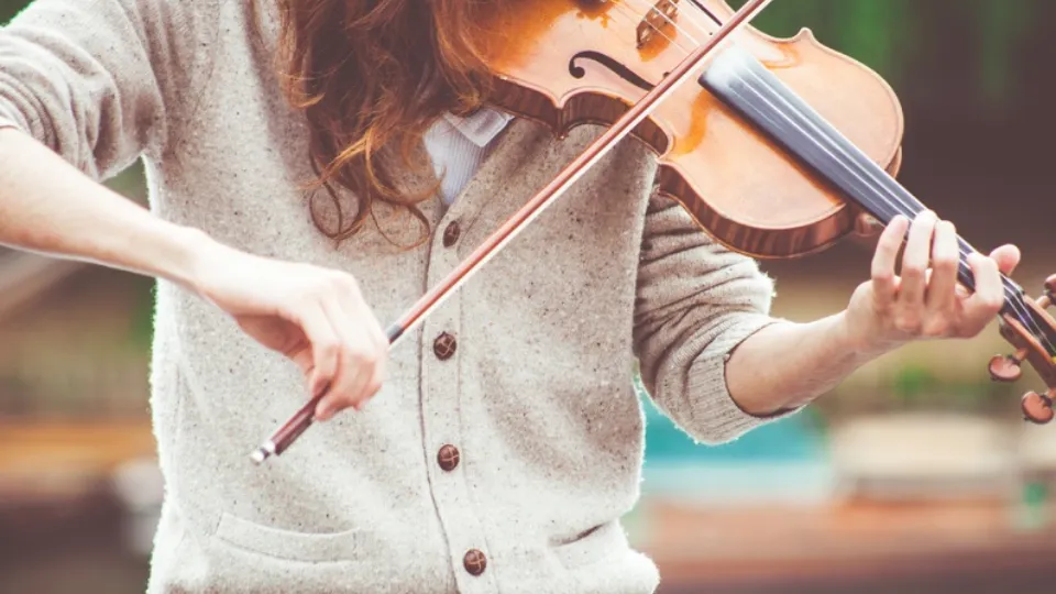 Фото: pxhere.com