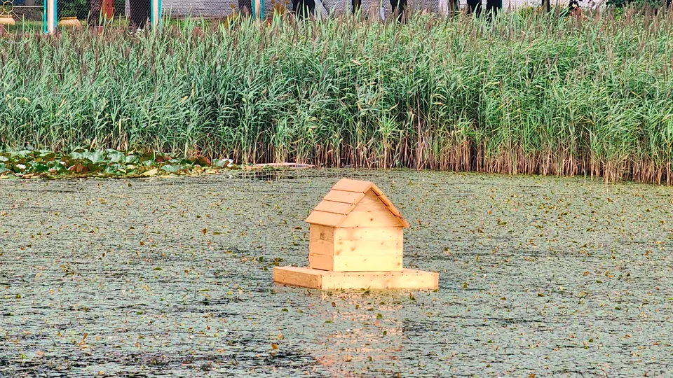 Фото: Роман Савельев