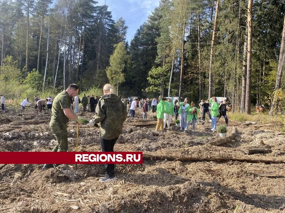 Фото: Елена Аботурова