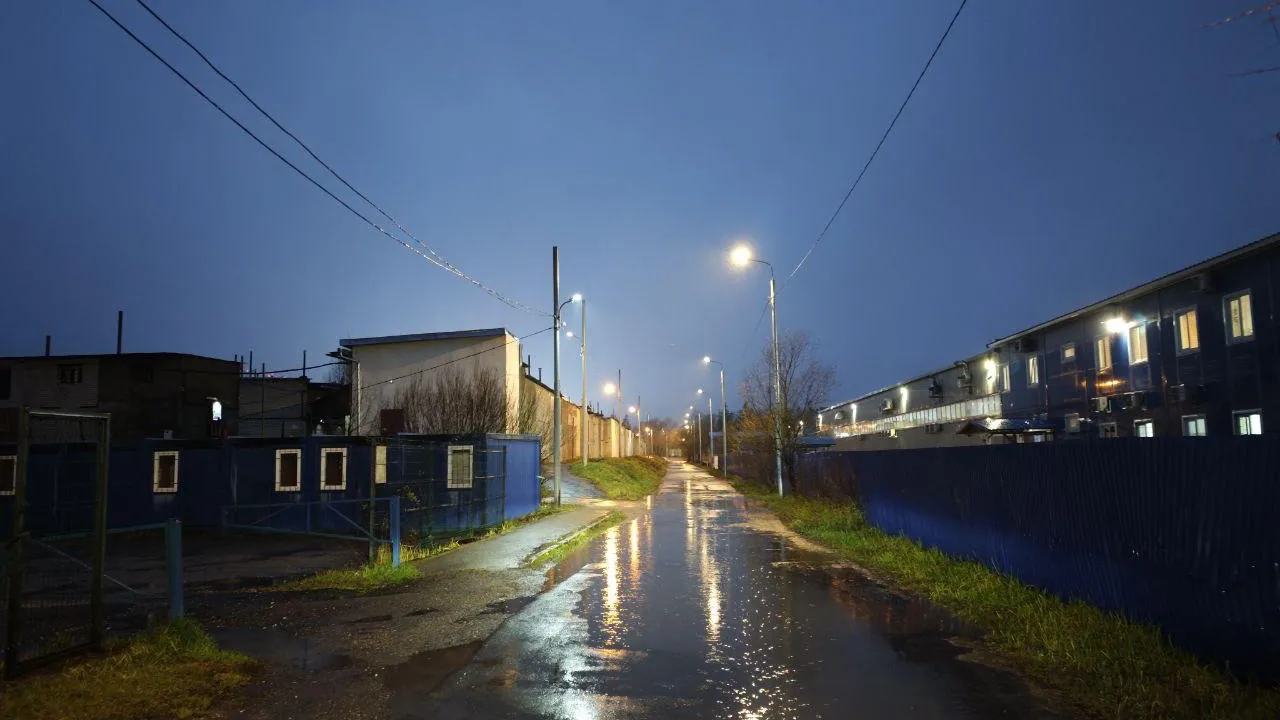 Фото: Министерство благоустройства Московской области