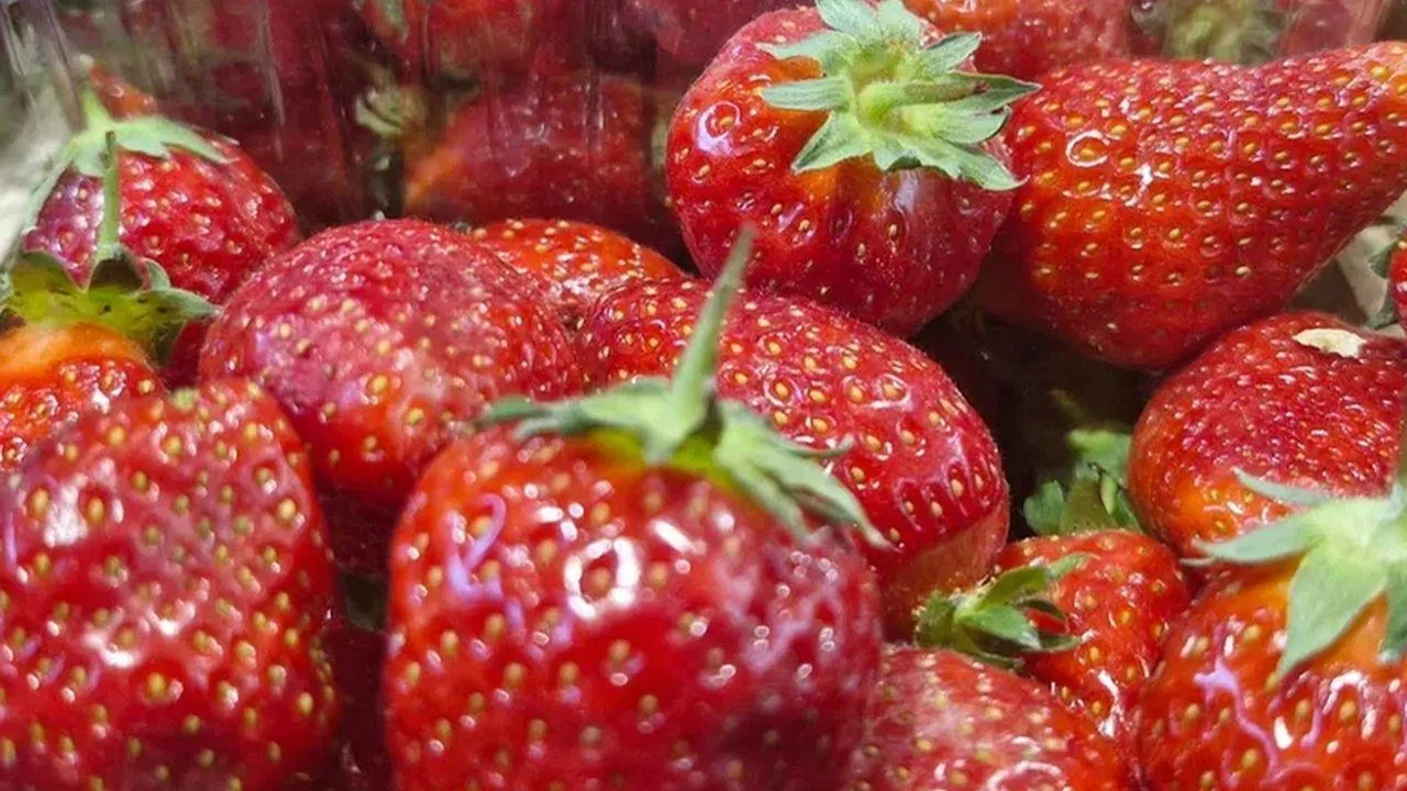 REGIONS/Наталья Надточая