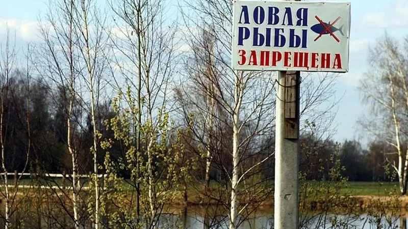 Охрану рыбных запасов усилили в Подмосковье в период нереста 