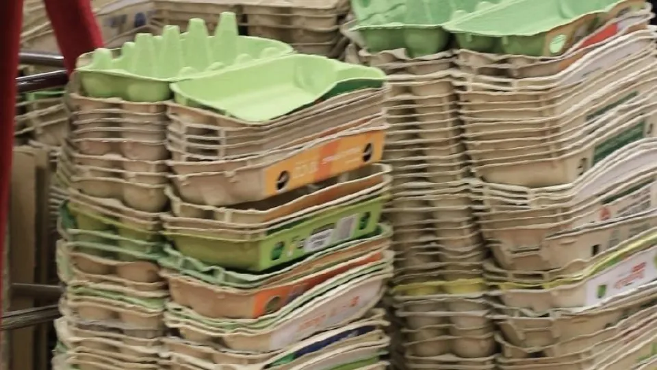 Фото: Министерство по содержанию территорий и государственному жилищному надзору МО