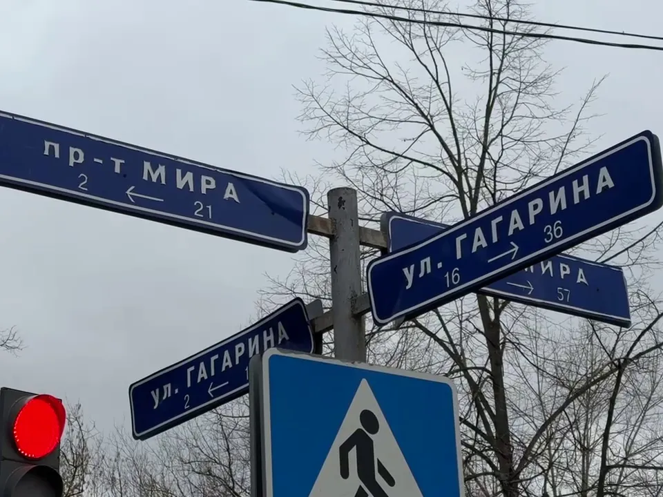 Фото: Ксения Казакова