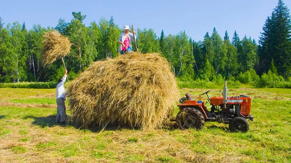 Фото: istockphoto.com