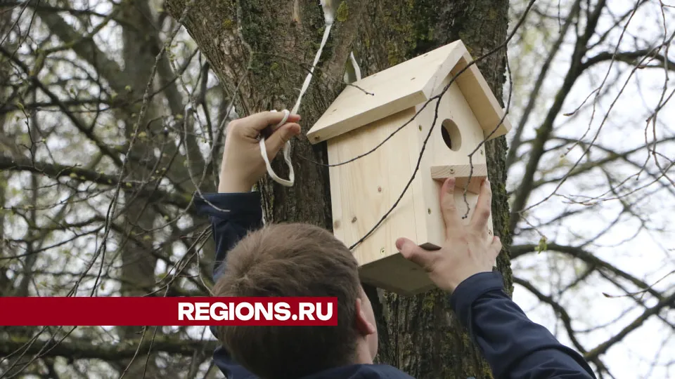 Фото: Владимир Останин