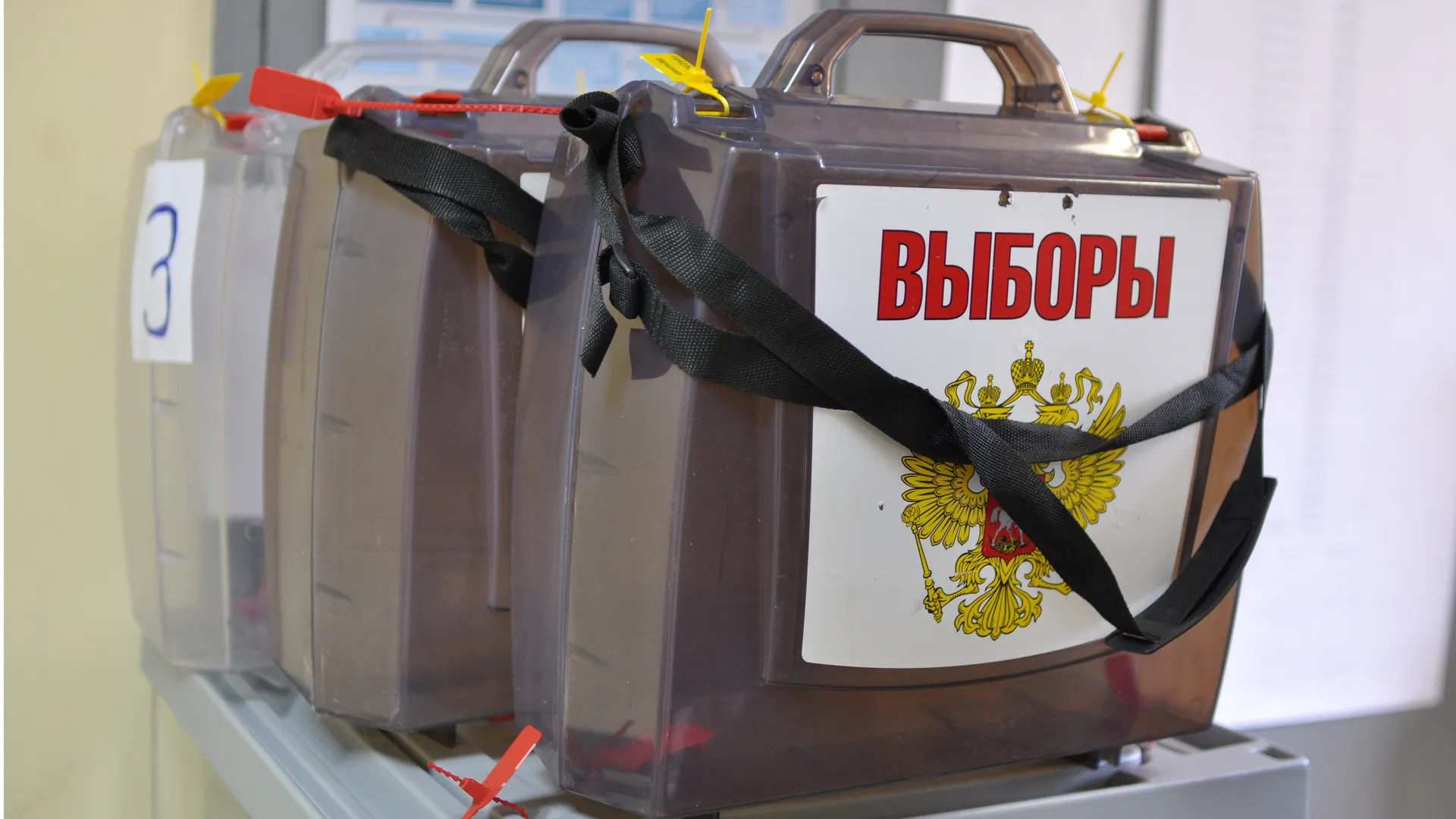 Источник: пресс-служба администрации Одинцовского округа