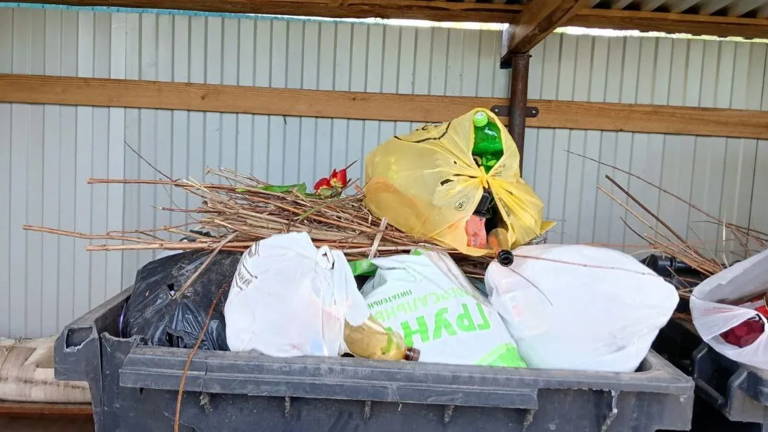 Фото: Анна Светлова