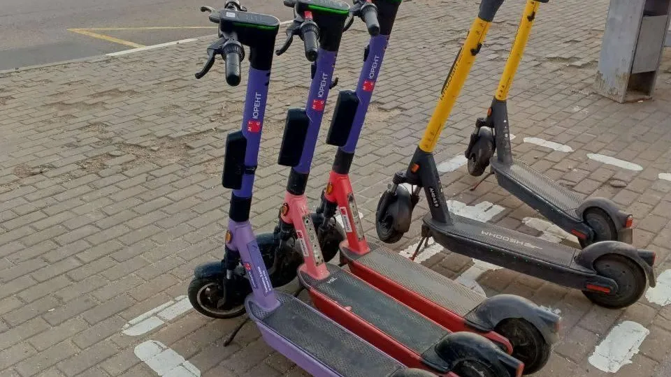 Фото: Пресс-служба администрации г.о. Лобня