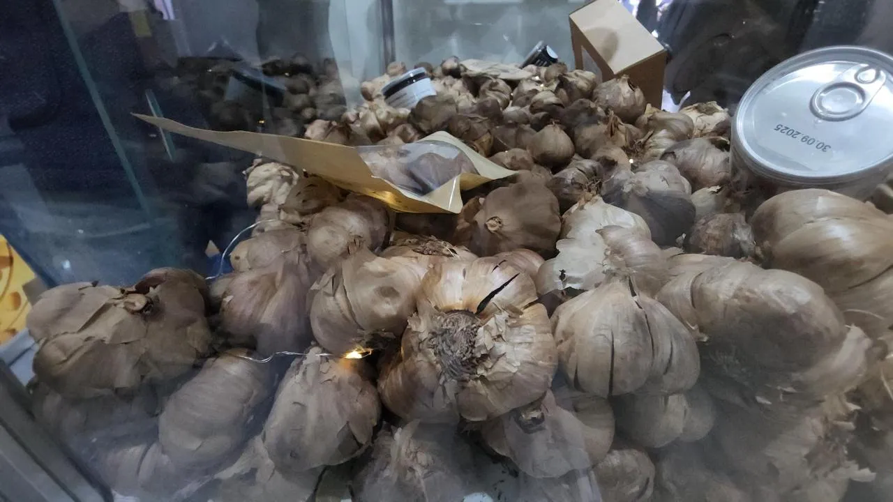 REGIONS/Артем Мишуков