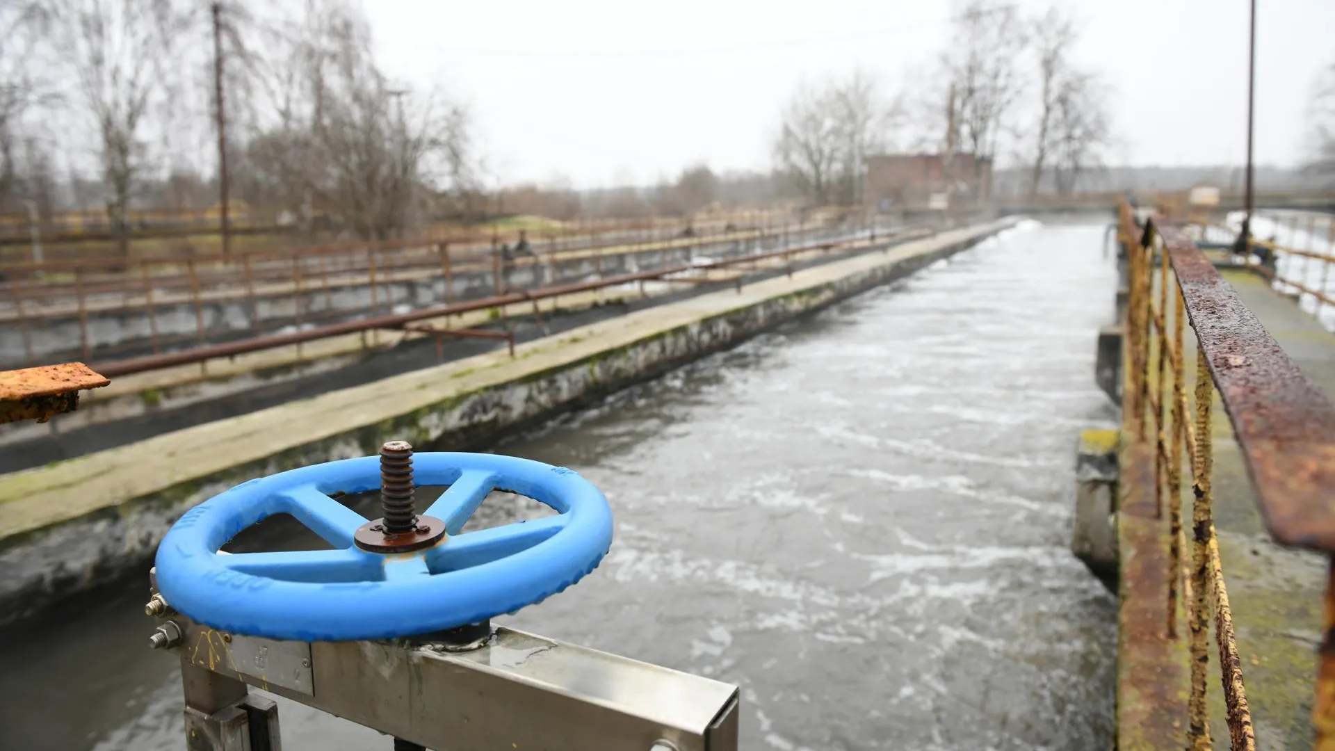 Пресс-служба администрации Дмитровского муниципального округа